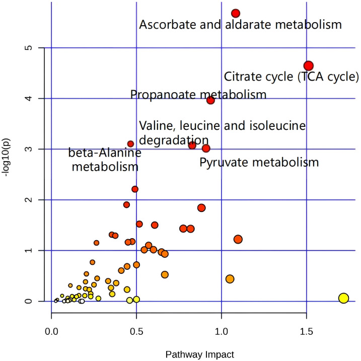 Figure 6