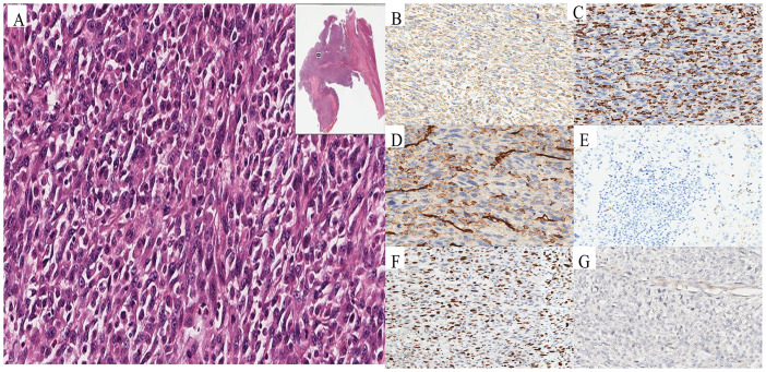 Figure 3