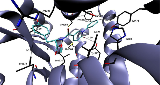 FIGURE 1