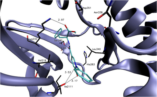 FIGURE 2