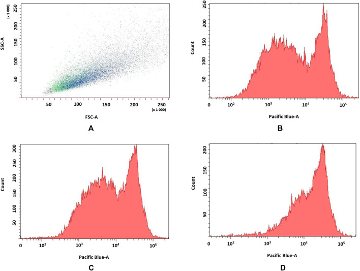 FIGURE 6
