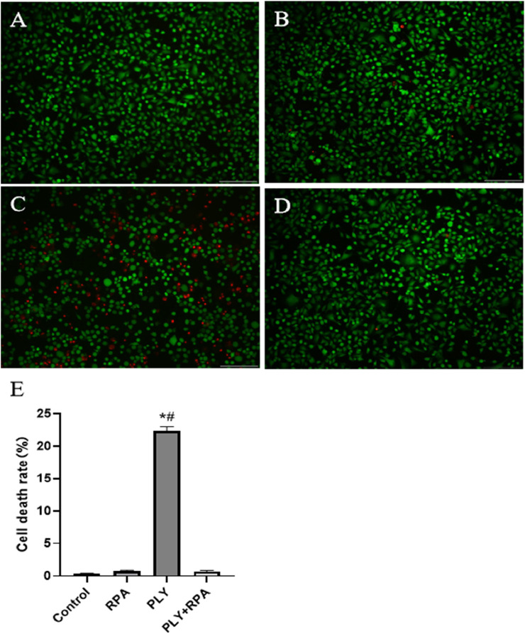 FIGURE 3
