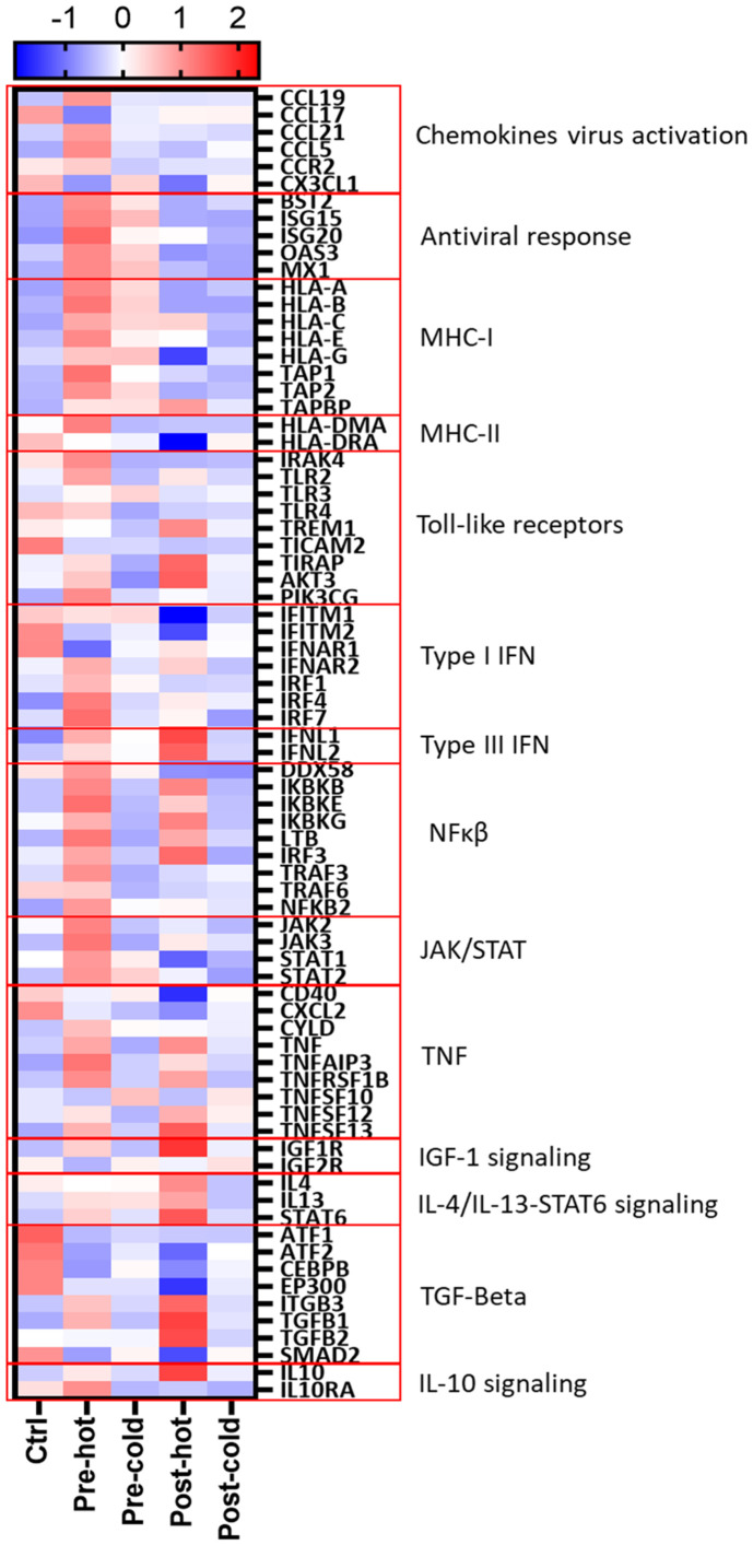 Figure 5