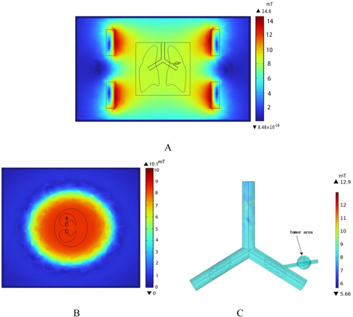 FIGURE 8