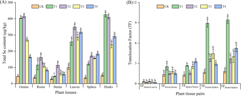 Figure 2