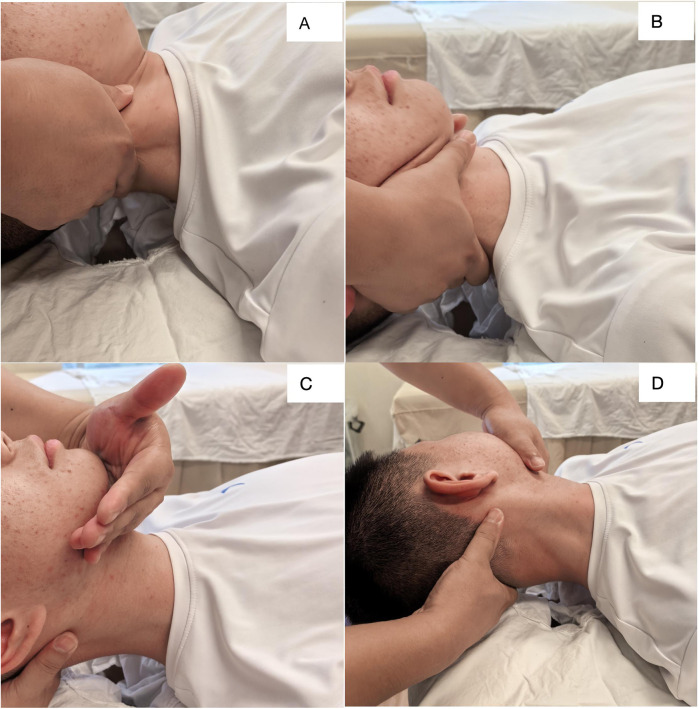 Figure 3