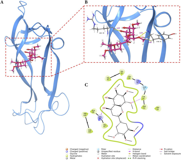 FIGURE 9