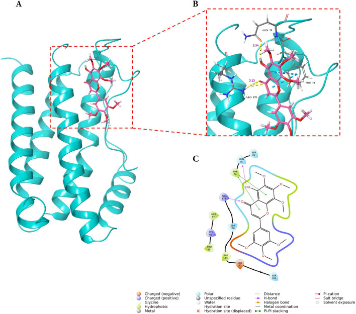 FIGURE 10