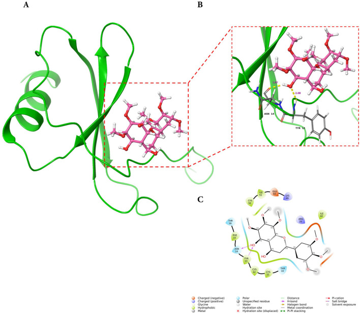 FIGURE 11