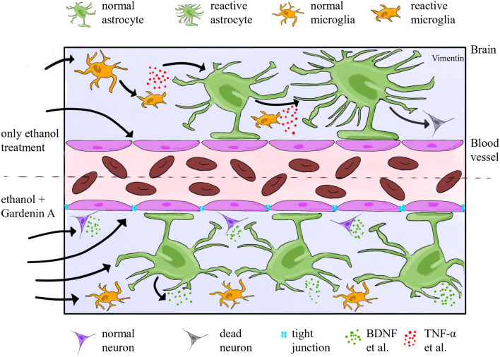 FIGURE 15