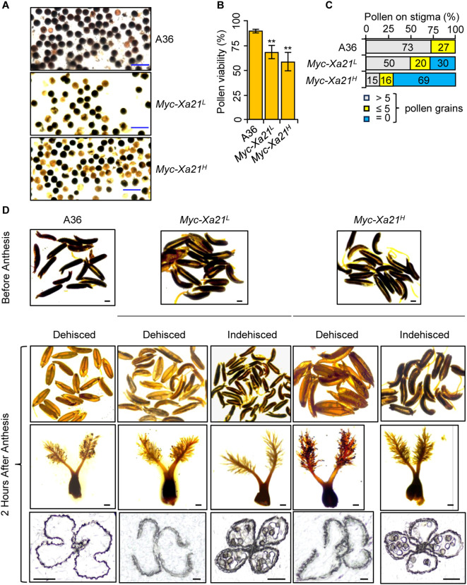 Figure 2
