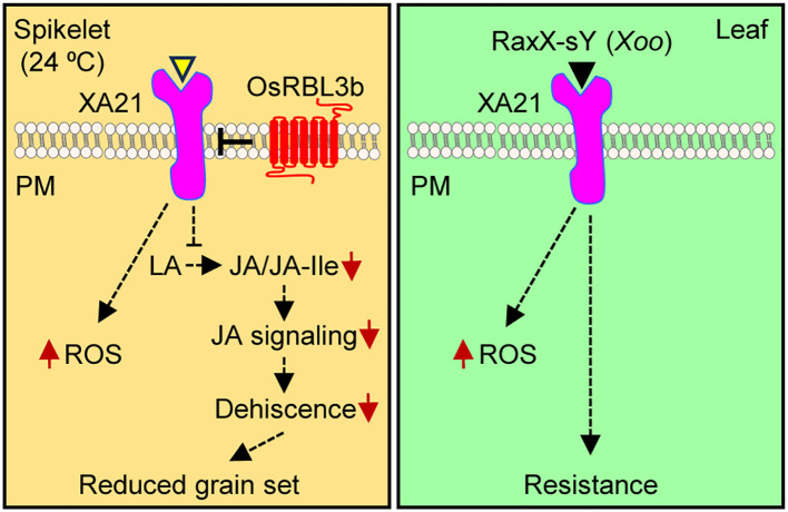 Figure 6