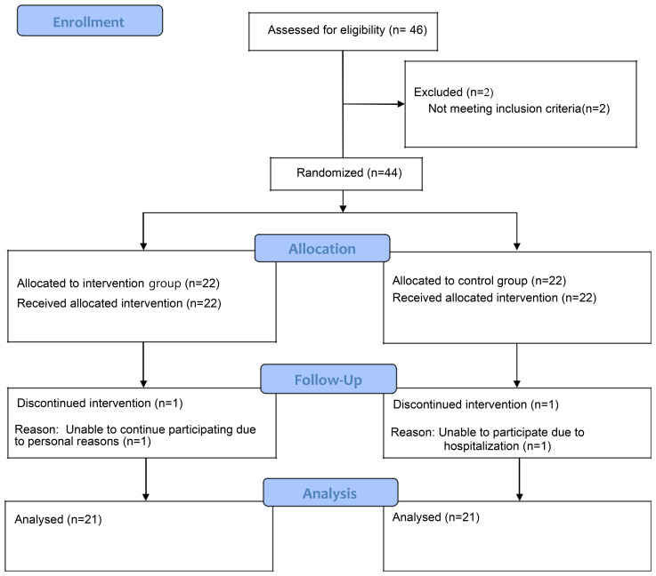 Figure 1
