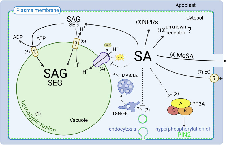 Figure 1