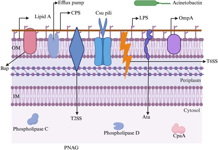 Figure 2