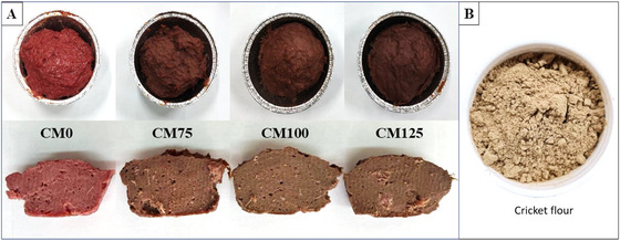 FIGURE 3