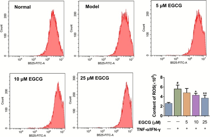 FIGURE 7