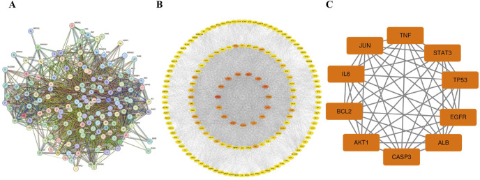 FIGURE 3