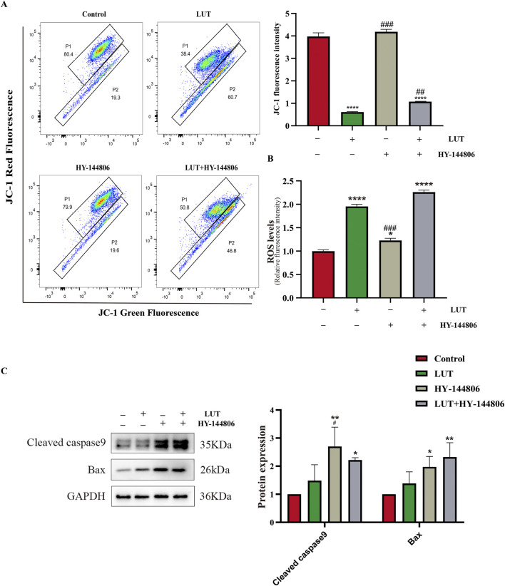 FIGURE 11