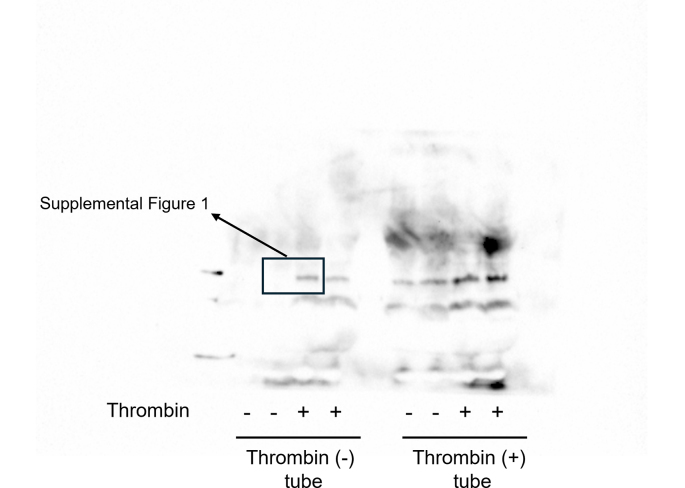 Figure 19