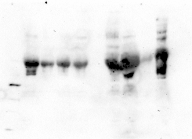 Figure 20