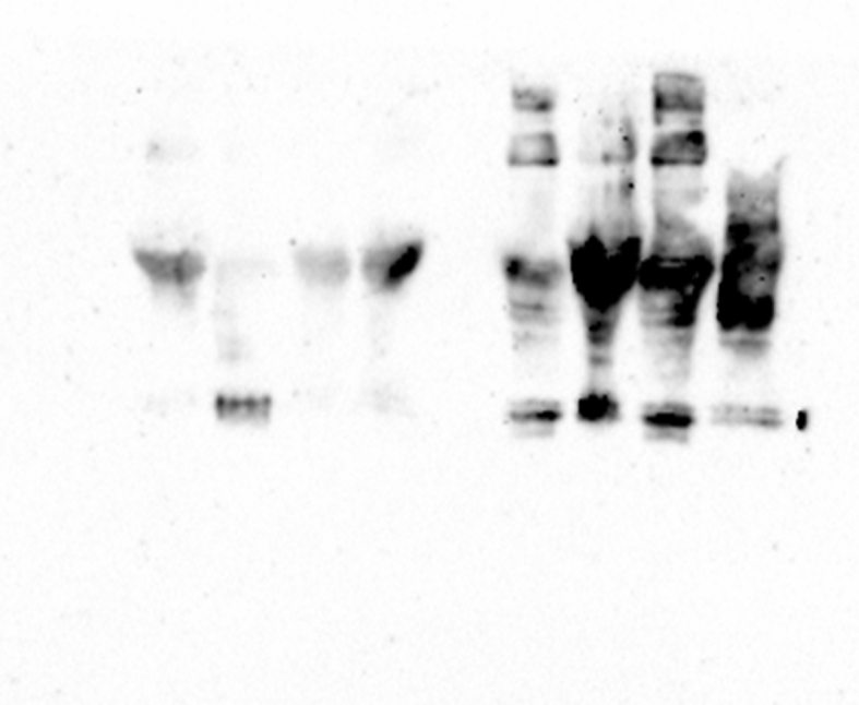 Figure 22