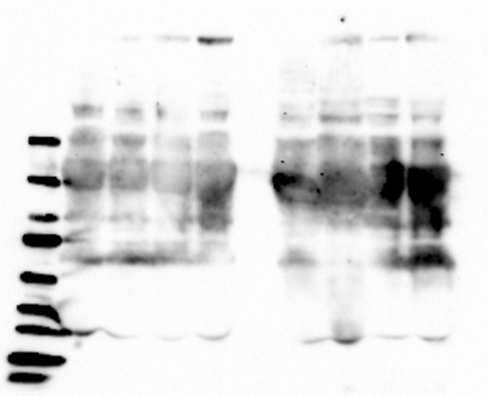 Figure 23