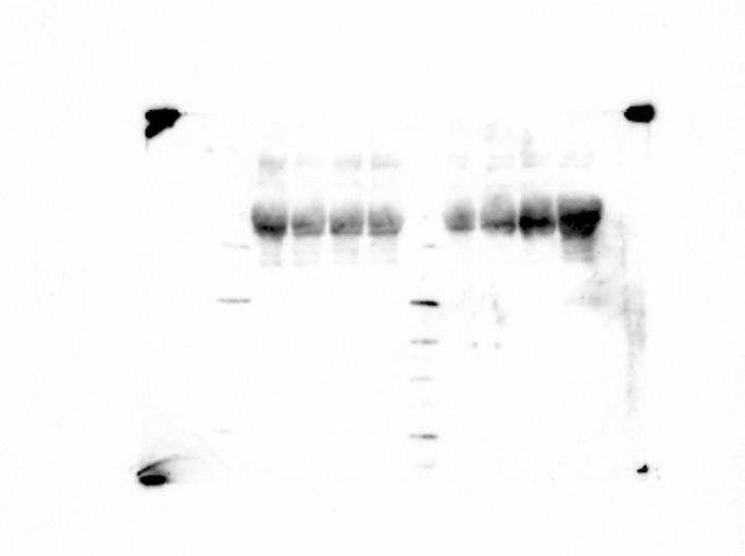 Figure 24