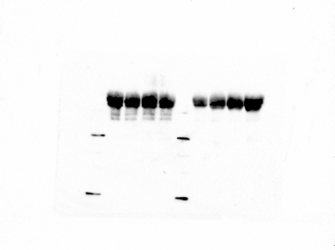 Figure 25