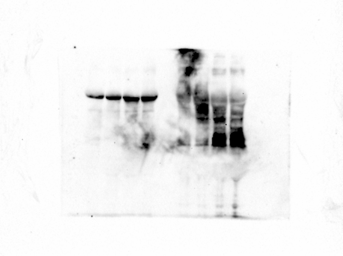 Figure 26