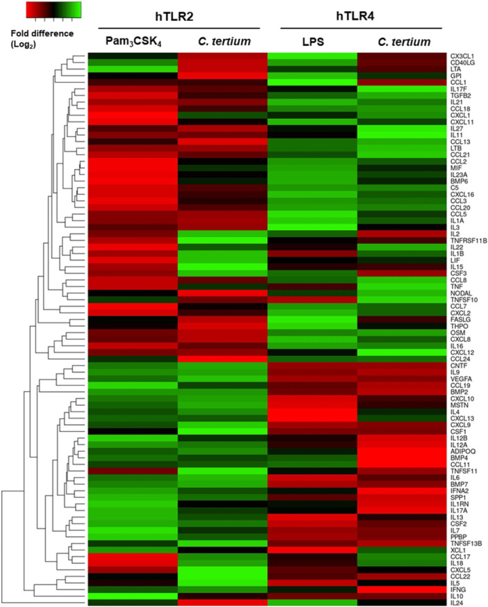 Figure 5