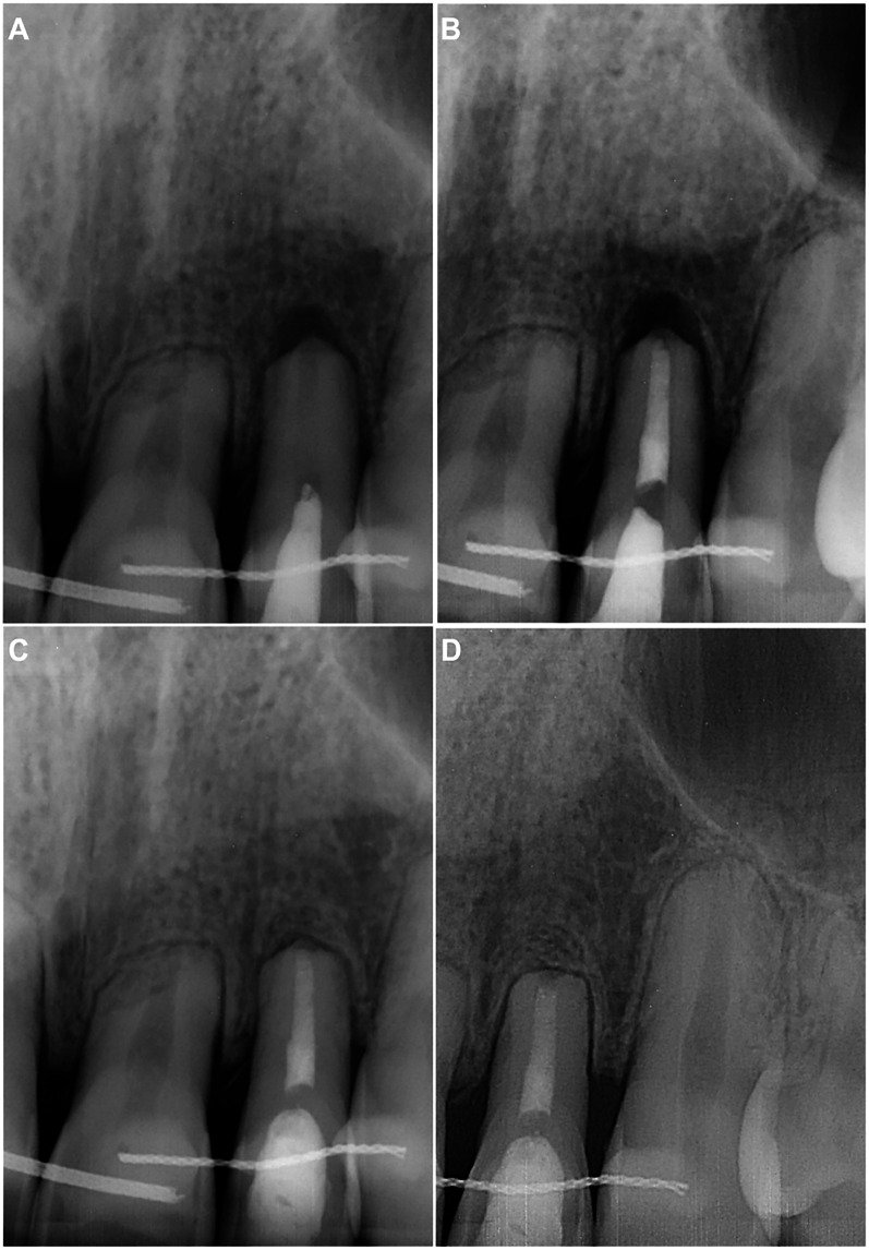 Figure 2