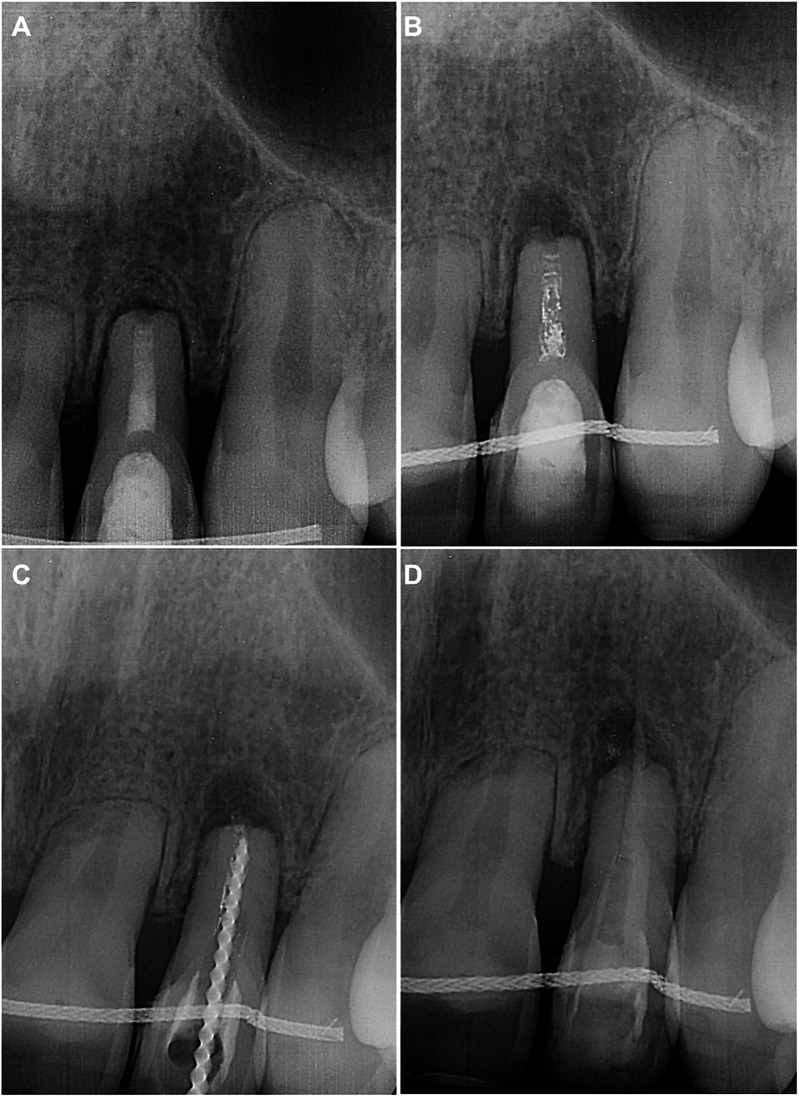Figure 3
