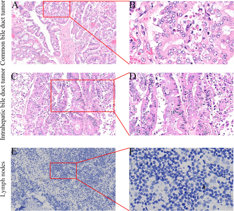 Figure 5