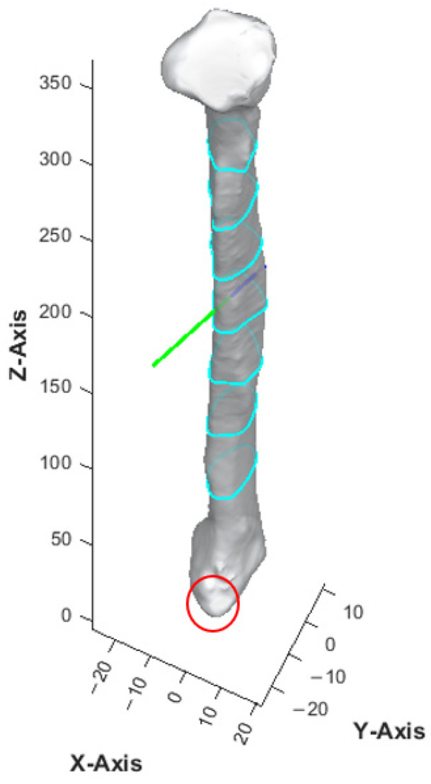 Figure 8