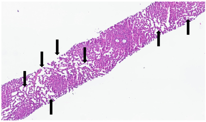 Figure 9