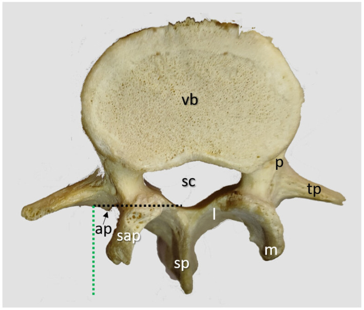 Figure 6