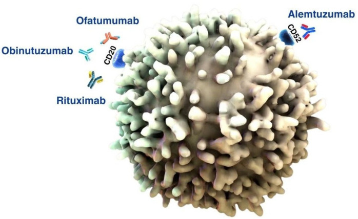 Figure 10