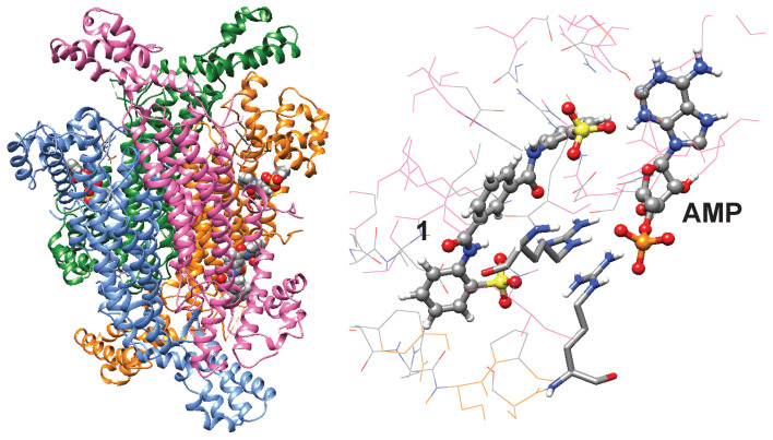 Figure 5