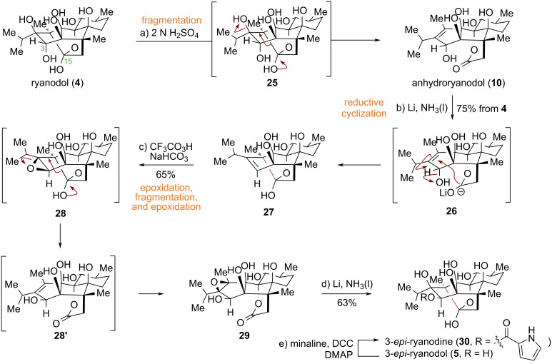 Scheme 3