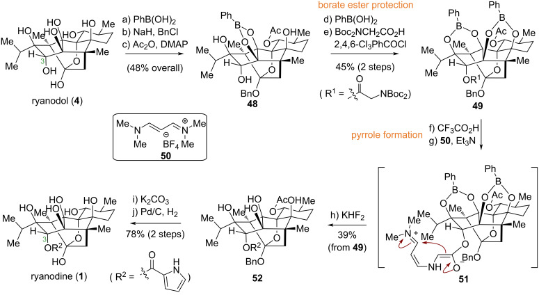 Scheme 5