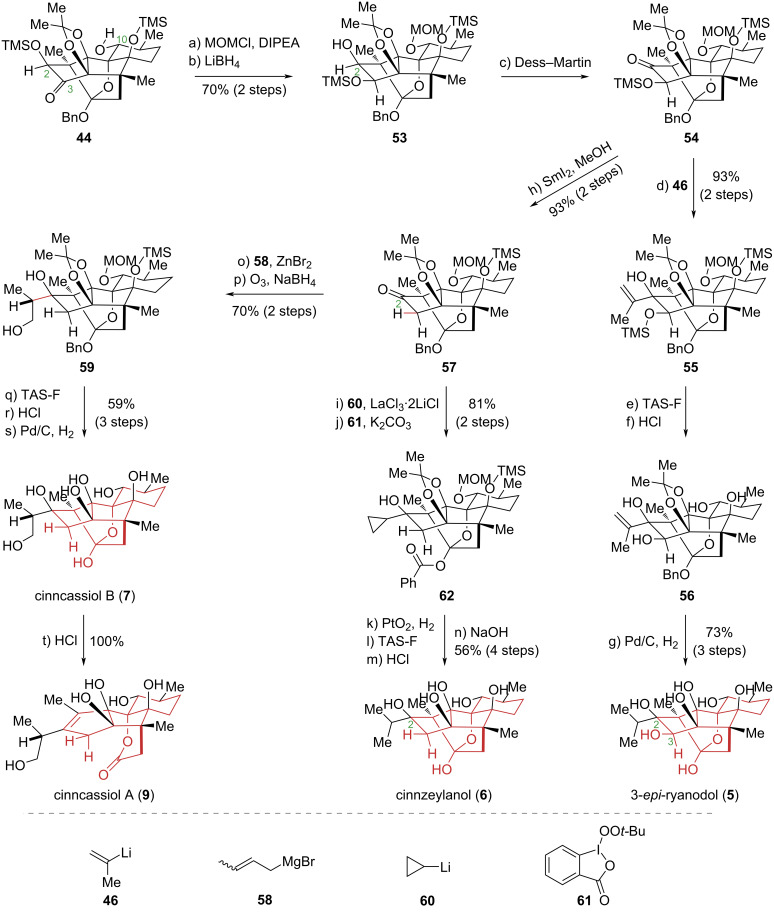 Scheme 6