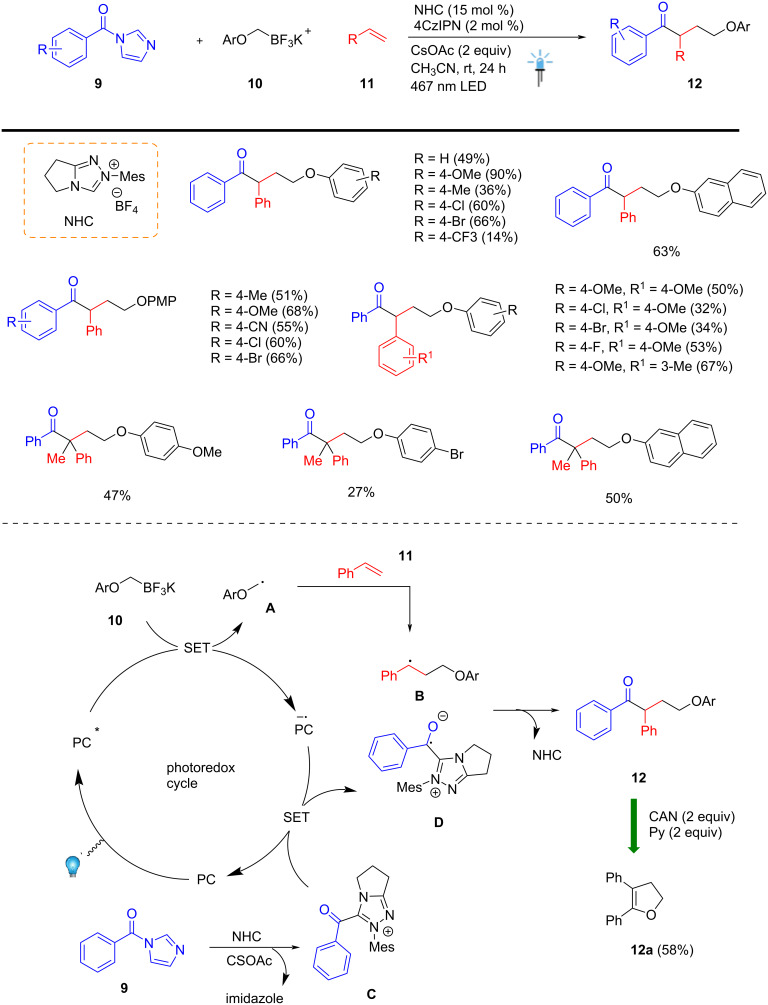 Scheme 4
