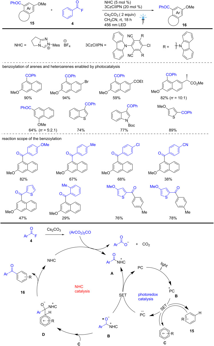 Scheme 6