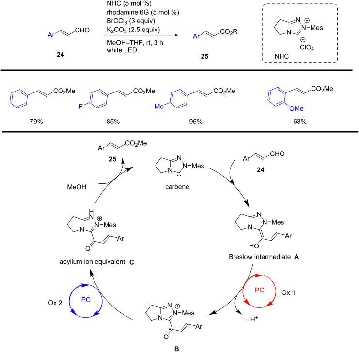 Scheme 10