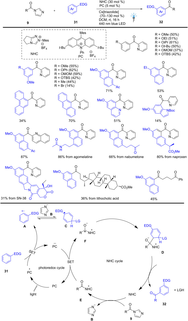 Scheme 13