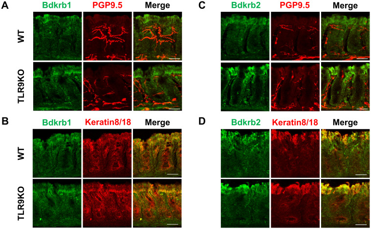 Figure 6