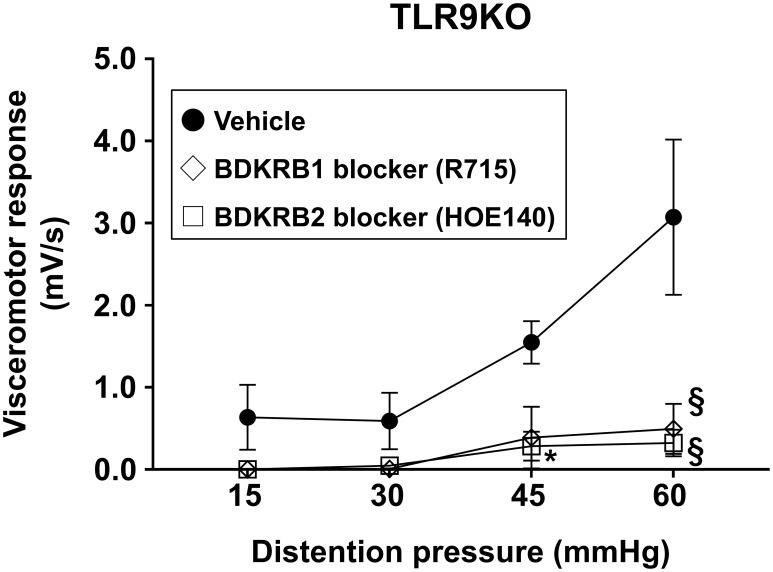 Figure 7