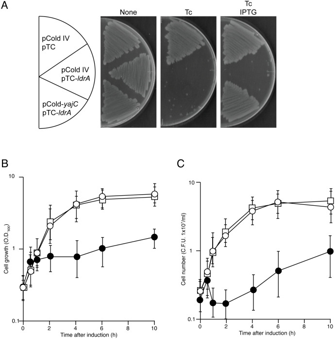 Fig 3