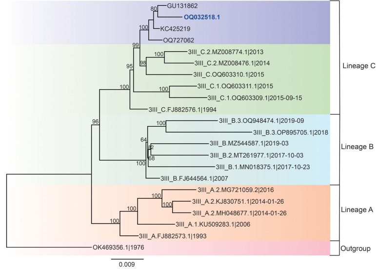 Fig 3